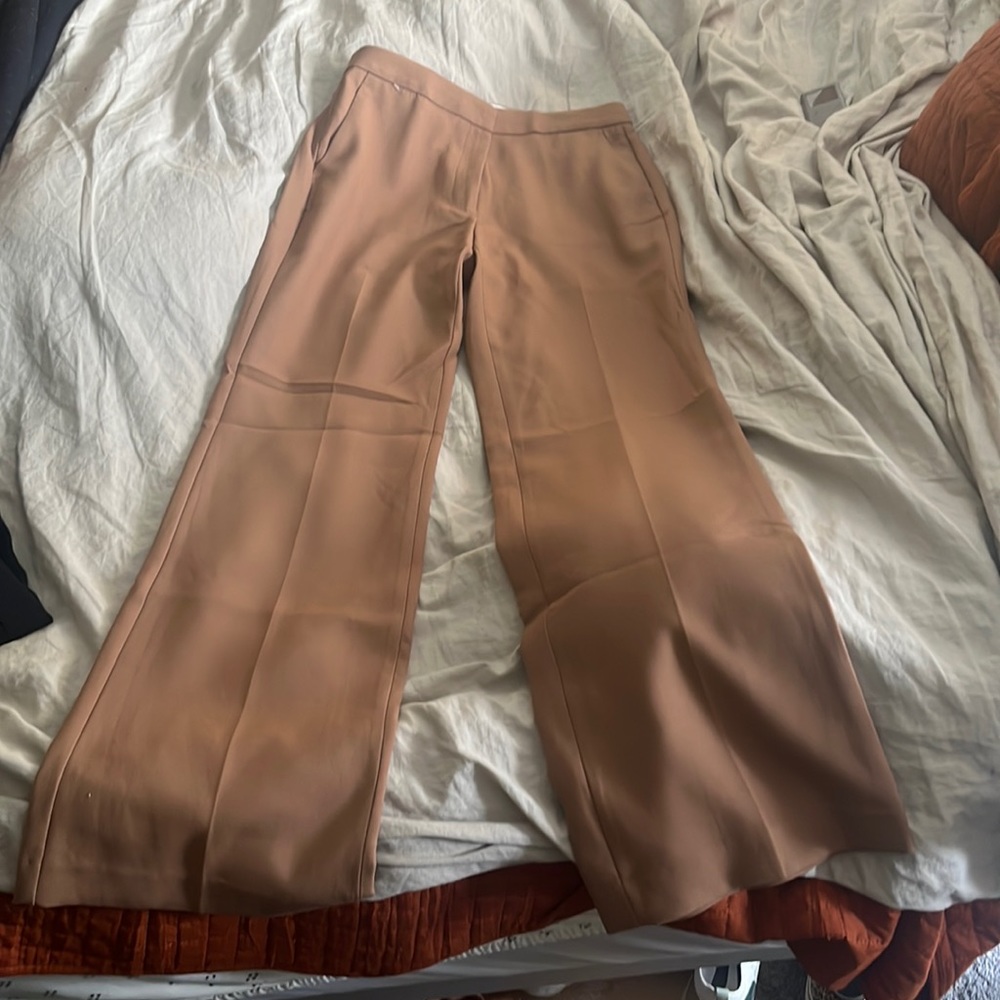 NWT- Ann Taylor pants - awesome !!